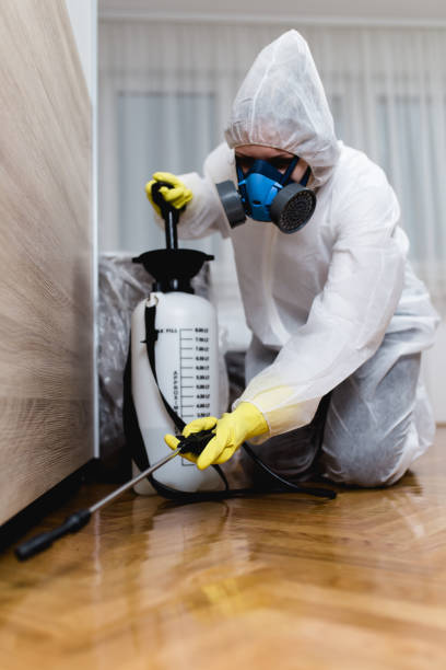 Pest Control for Hotels in North Bellport, NY